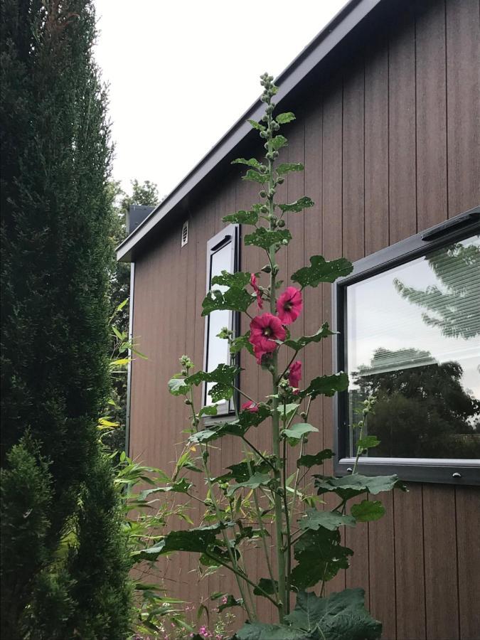 Cottage Du Garlai 布雷叙尔 外观 照片